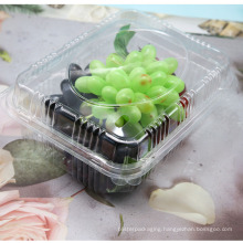 1KG plastic blister vacuum formed fruit clamshell packaging